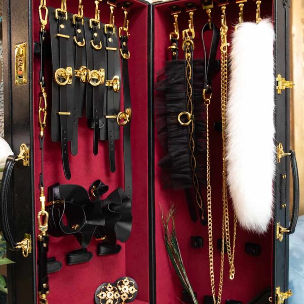 BDSM de Luxe Koffer mit 19 Accessoires aus italienischem Leder, in einem diskreten Koffer mit Codeschloss für eine elegante und vertrauliche Erfahrung.