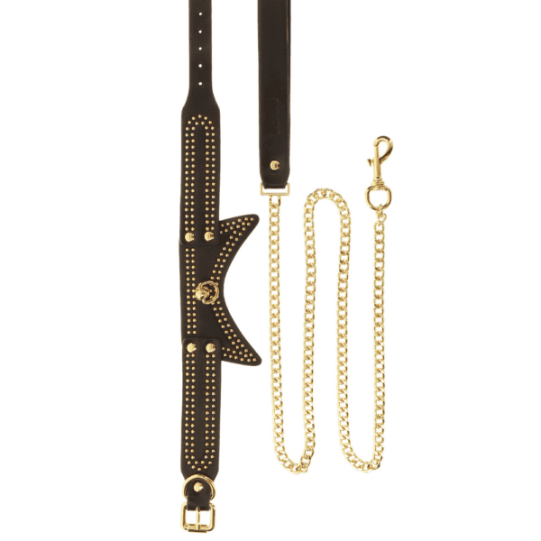 Collier en cuir noir avec des détails dorés et une laisse.