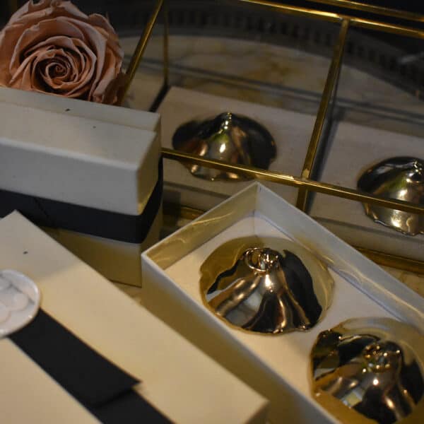 INCARNEM by Marine Billet - Nippies Piercing Gold Limited Edition INCARNEM Nippies in einer Box.