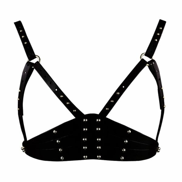 UNA BURKE LEATHER (3) Packshot on white background of Una Burke's Etched Merlot bra from the front.
