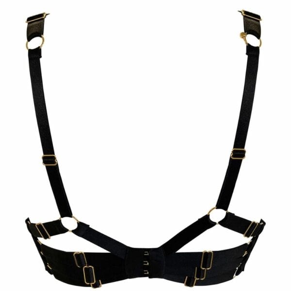 BORDELLE NEW SIGNATURE (132) Black Silk Push-Up Bra Back Packshot