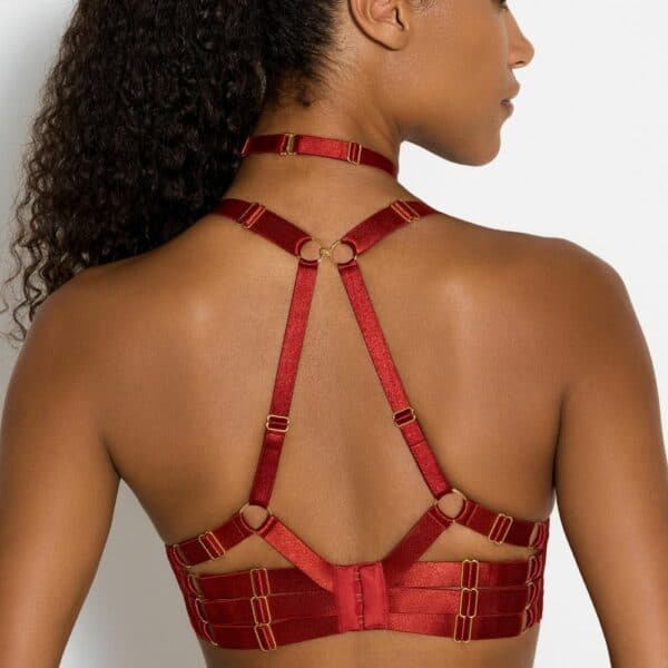 Detalle de una foto de una mujer de espaldas con un sujetador push-up de seda y un collar de aro rojo
