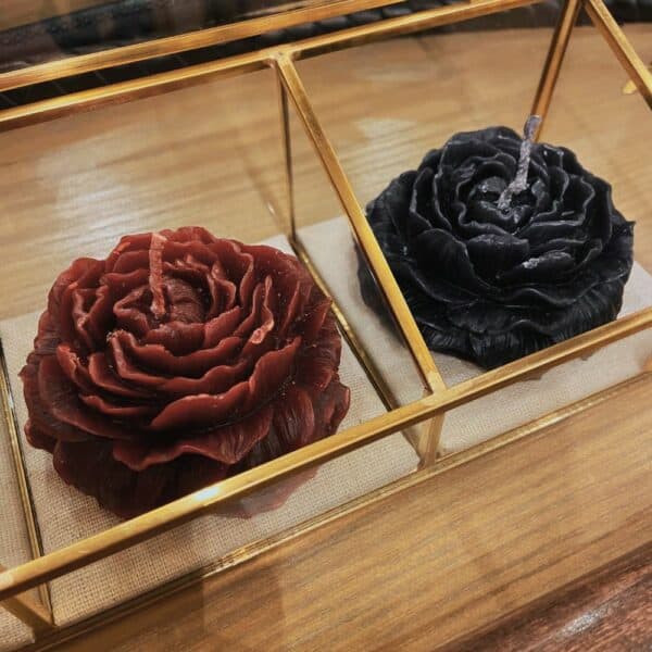 Bougies en forme de rose noir et rouge disposées dans une boîte