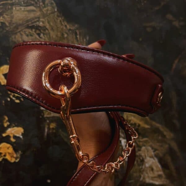 Photo d'un Collier en Cuir Rouge de Devant avec une Laisse En Cuir Rouge Avec Chaîne Dorée