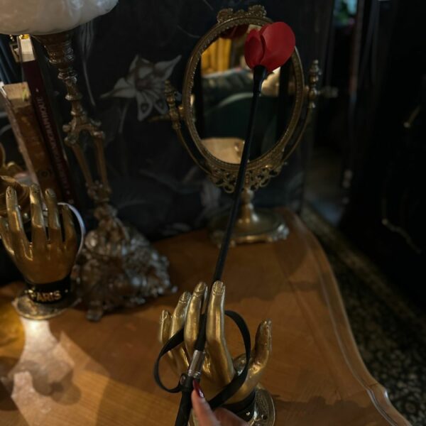 Photo d'une Cravache à l'Extrémité en forme de Fleur Rouge en Cuir