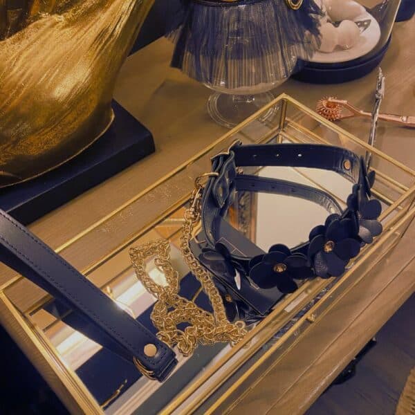 Black leather collar and leash with flower design and gold chain, set in a transparent gold box on a wooden cabinet.