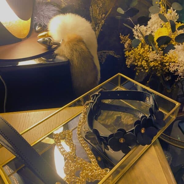 Black leather collar and leash with flower design and gold chain, set in a transparent gold box