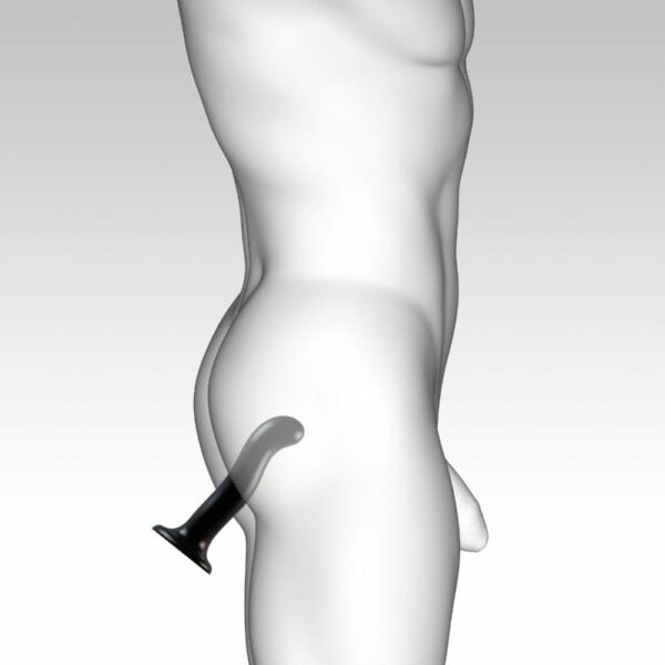 STRAP-ON-ME - Dildo Point P&G Dildo Point P&G de Strap-On-Me en silicone noir, avec courbure ergonomique pour stimuler le Point G et le Point P. Ventouse puissante pour une fixation sur surface plane et une utilisation mains libres.