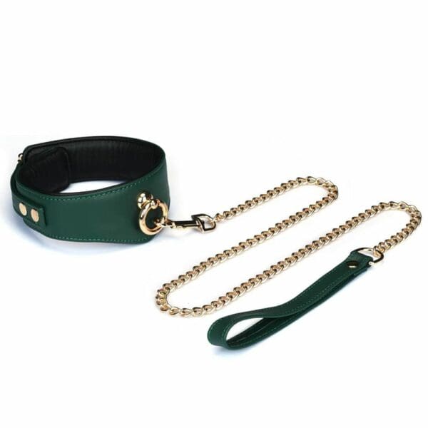 3/4 Packshot Mossy Chic Curved Collar в зеленом и черном цветах с золотым кольцом и свинцом
