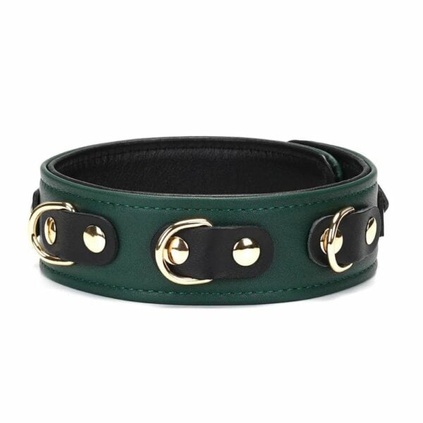 Packshot of Mossy Chic Leather Necklace Front in Green and Black