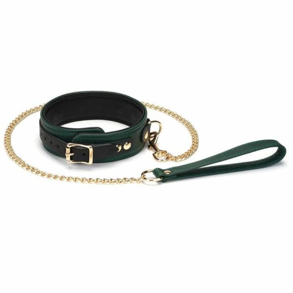 Packshot of Mossy Chic Collar and Lead in Green and Black Leather