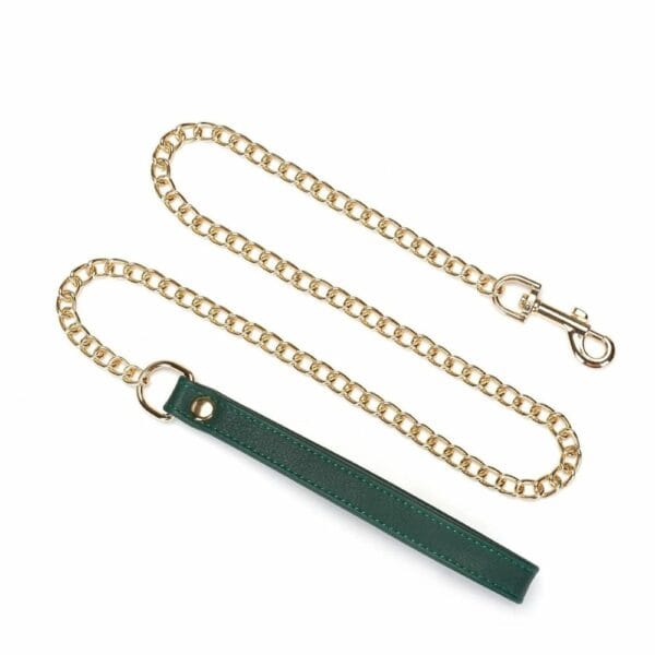Пакет Mossy Chic Lead из зеленой и черной кожи с золотой цепочкой