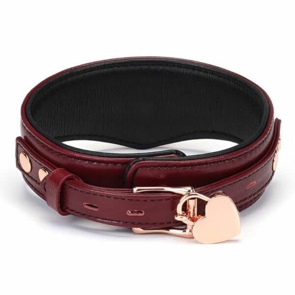 Packshot du Dos d'un Collier Incurvé avec Anneau en Cuir Rouge