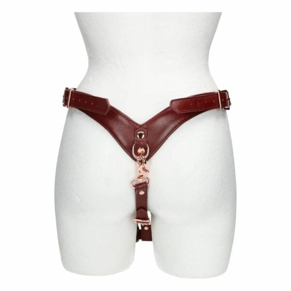 Photo of Red Leather Harness Belt Back Mannequin