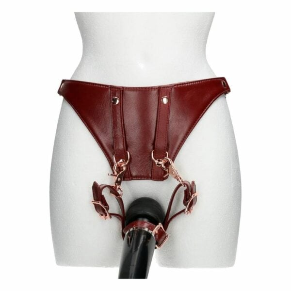 Photo of Red Leather Harness Belt Front Model with Vibrator