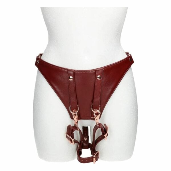 Photo of Red Leather Harness Belt Front Mannequin