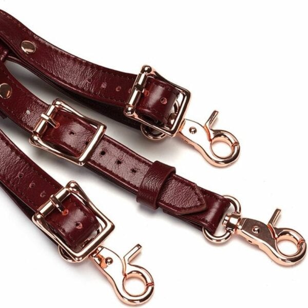 Detail of Red Leather Harness Belt Packshot
