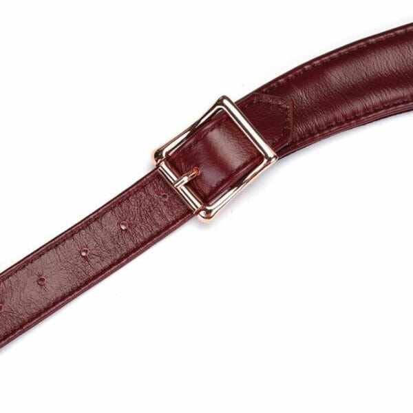 Detail of Red Leather Harness Belt Packshot