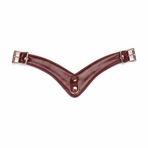 Packshot of the Detachable Back part of a Red Leather Harness Belt