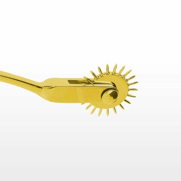 Detailaufnahme des Packshot einer goldenen Warterberg-Roulette