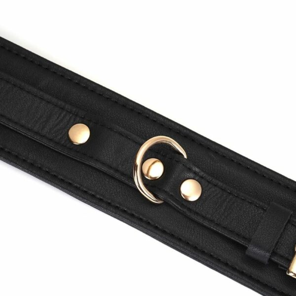 Packshot du Devant d'un Collier en Cuir Noir avec Anneaux Dorés