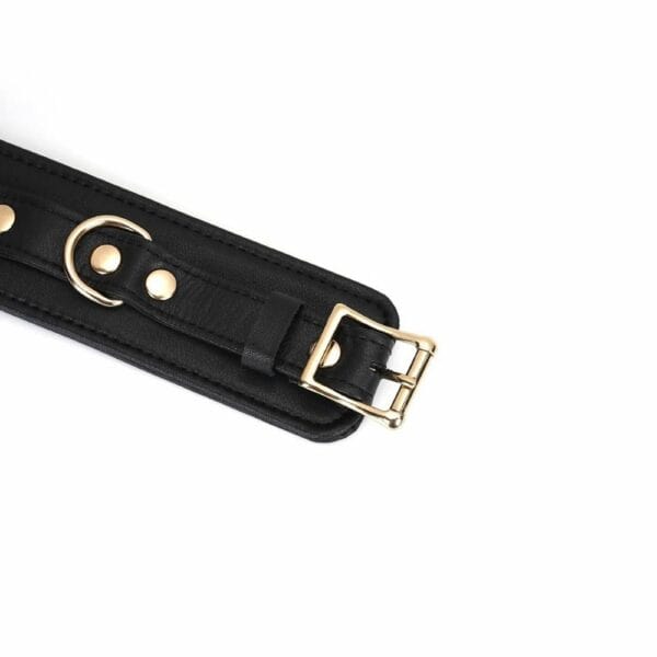 Packshot du Devant d'un Collier en Cuir Noir avec Anneaux Dorés