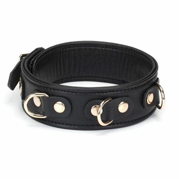 Packshot du Devant d'un Collier en Cuir Noir avec Anneaux Dorés