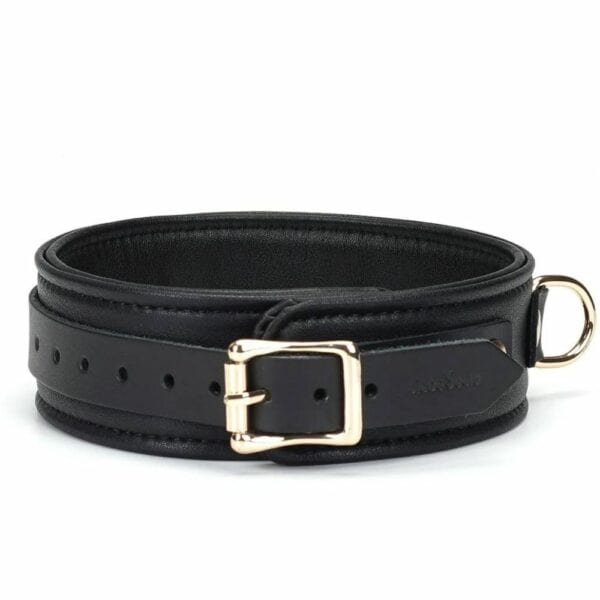 Packshot du Dos d'un Collier en Cuir Noir avec Anneaux Dorés
