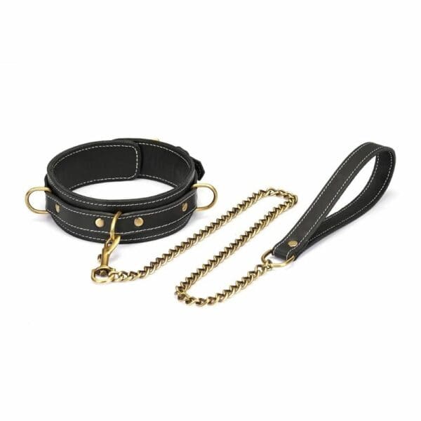 Packshot Halsband aus schwarzem Leder mit Messingringen und Anbindeleine aus schwarzem Leder mit Messingkette
