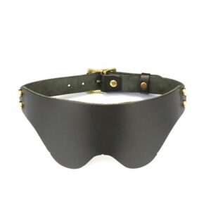 Packshot du Devant d'un Bandeau en Cuir Marron