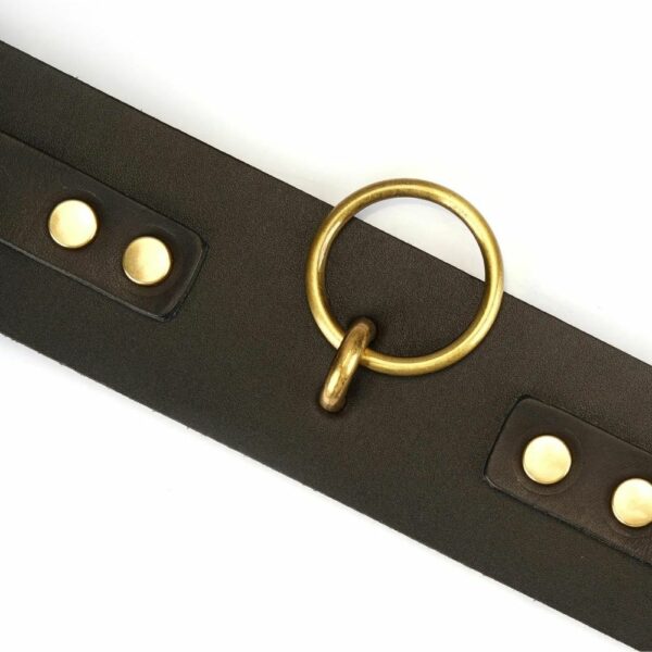 Detailansicht des Packshot-Rings für braune Lederfesseln mit flach liegenden goldenen Ringen und eines braunen Lederriemens mit flach liegenden goldenen Karabinerhaken