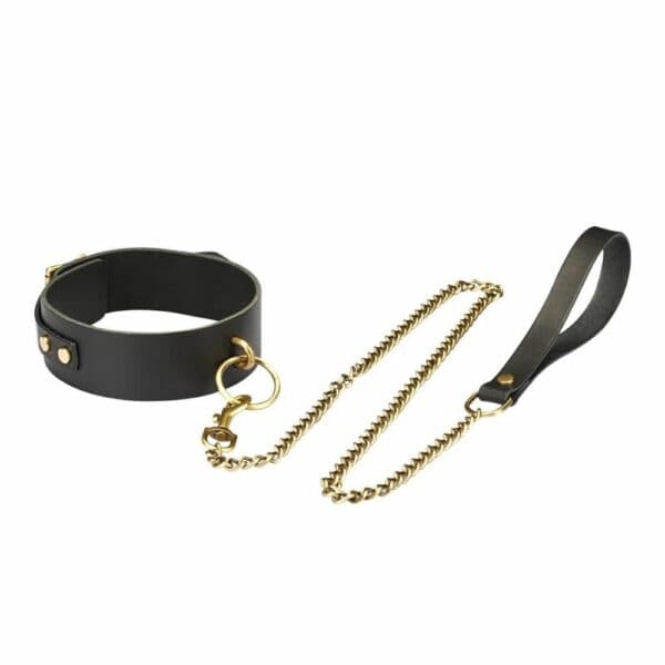 Packshot du Collier en Cuir Marron avec Anneau Or et de la Laisse Attachée en Cuir Marron et Chaîne Or