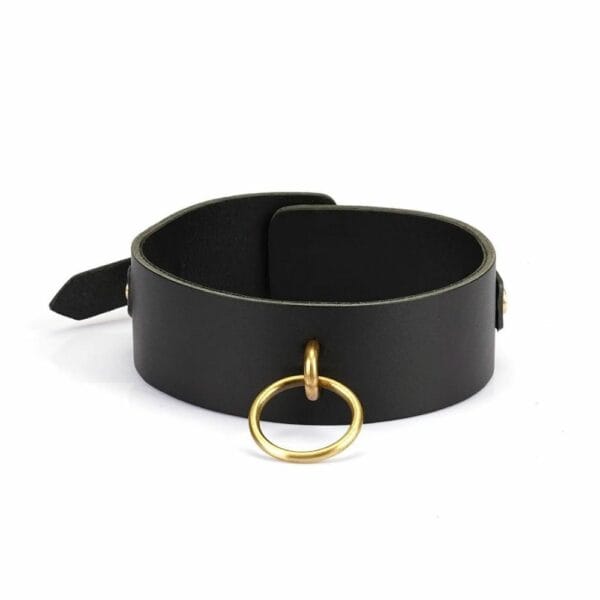 Packshot du Devant du Collier en Cuir Marron avec Anneau Or