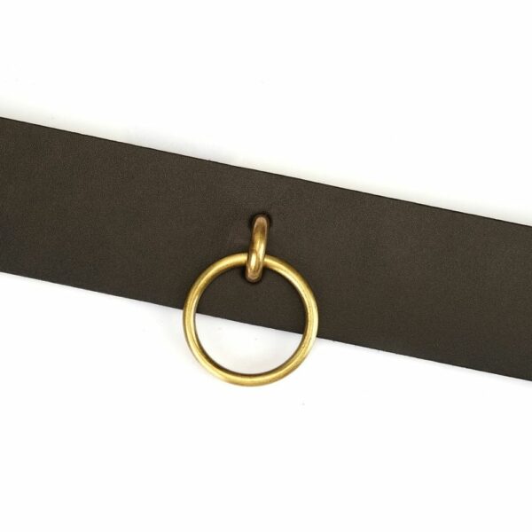 Détail sur l'Anneau du Packshot du Devant du Collier en Cuir Marron avec Anneau Or Mis à Plat