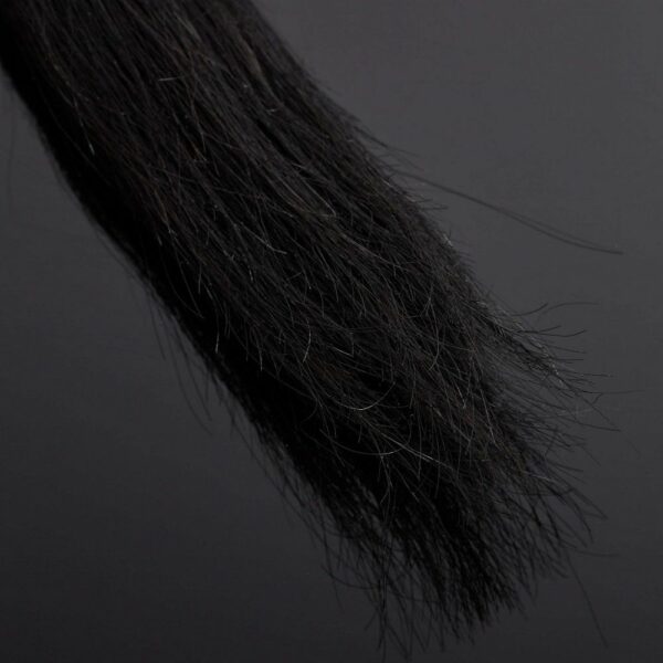 Details zu den Pferdehaaren des Packshots einer Peitsche aus Leder und schwarzen Pferdehaaren