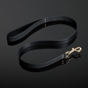 Packshot d'une Laisse en Cuir Nubuck couleur Noir