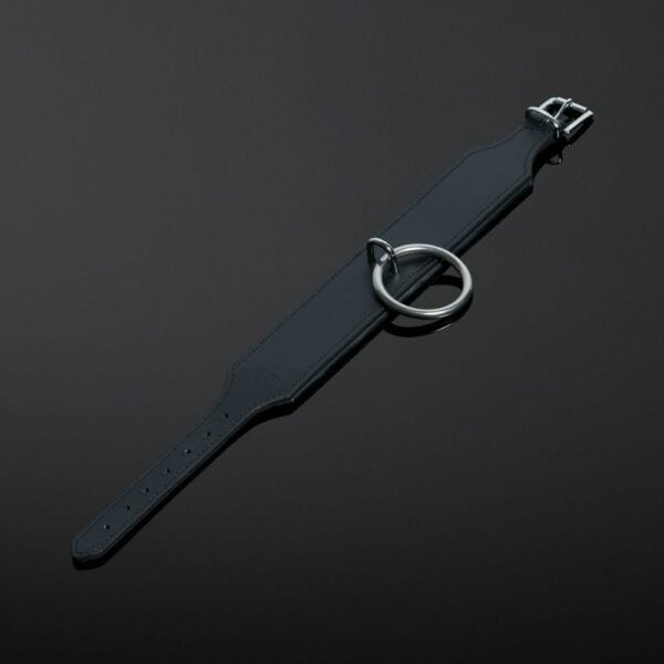 Validus HOUSE OF SXN Saddle Leather Collar, прочная черная кожа, металлическое кольцо увеличенного размера, регулируемая посадка, долговечный BDSM аксессуар, сочетающий в себе силу и элегантность.