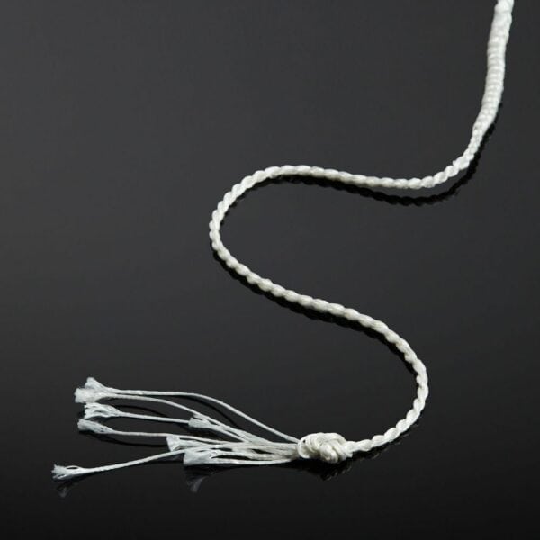 Packshot Detail Leather Whip Snake Effect White