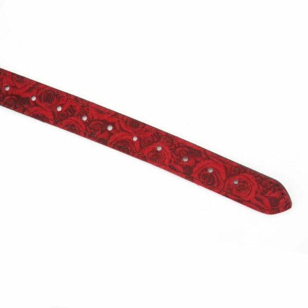 Gag BDSM Kinbaku Ukiyo-e avec touches dorées, conçu en silicone alimentaire pour un confort optimal. Sangles ajustables, lavable et imperméable. Fusion de style et de fonctionnalité pour une expérience unique.