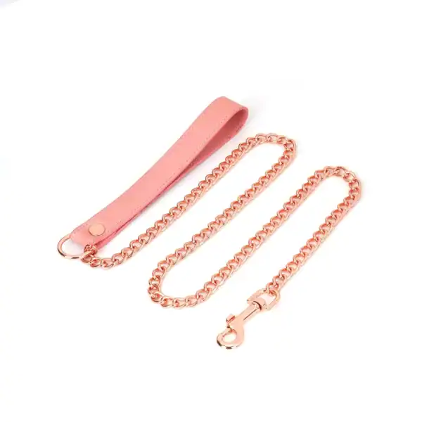Packshot Laisse En Cuir Rose avec Chaîne Rose Gold