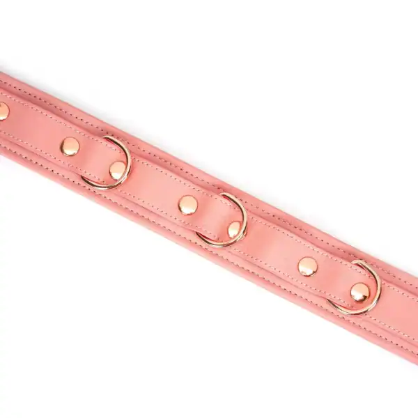 Packshot Collier Chocker En Cuir Rose avec Anneau d'Attache Rose Gold
