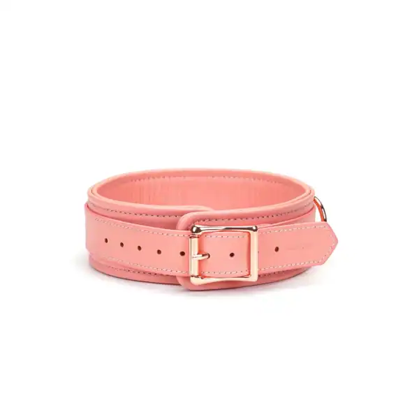 Packshot Collier Chocker En Cuir Rose