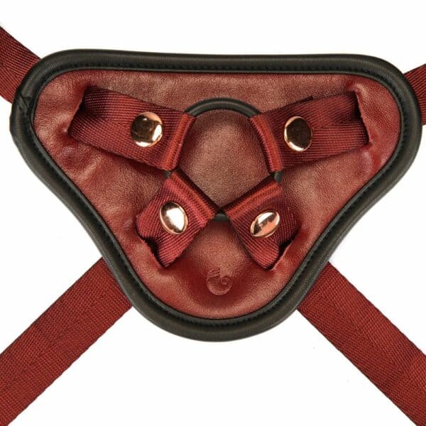 Detail of the Front of the Red Leather Strap-On Harness Packshot