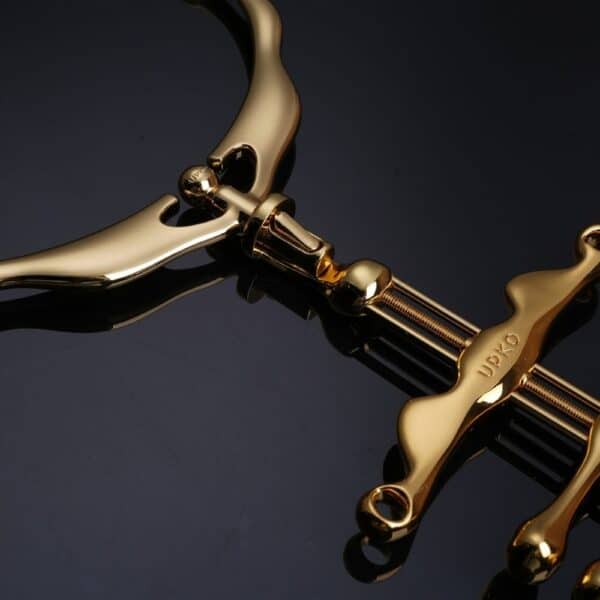 UPKO BDSM ACCESSORIES - Set BDSM Collier et pinces à doigts Détail Pendentif du Collier et pinces à doigts Couleur Or