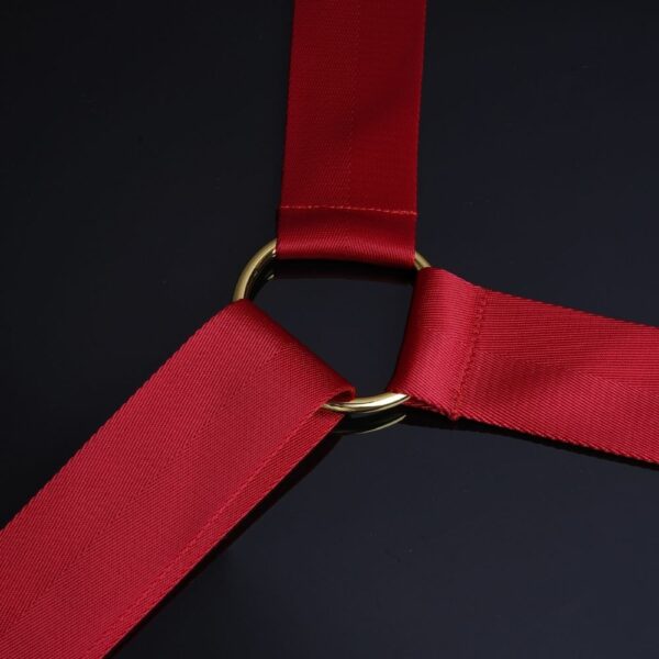 UPKO - Sangles de Retenue pour Lit Rouges Détail sur des Sangles Bondage Pour Lit en Rubans Rouges