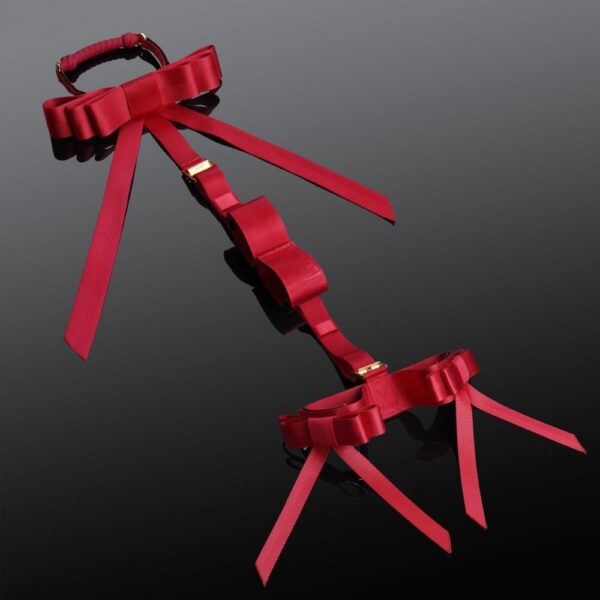 UPKO - Sangles Hogtie Bondage Rouges Packshot de Sangles Hogtie Bondage en Rubans Rouges