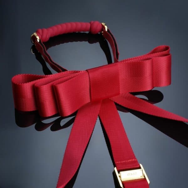 UPKO - Sangles Hogtie Bondage Rouges Détail sur le Ruban du Packshot de Sangles Hogtie Bondage en Rubans Rouges