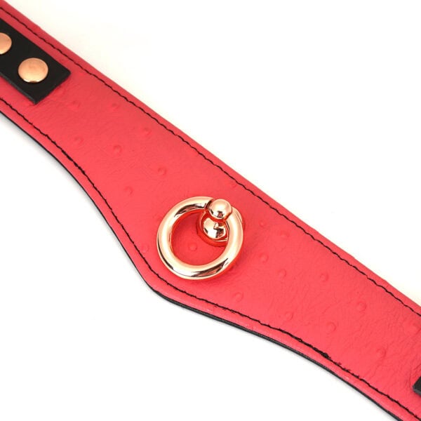 Packshot Pink Leather Collar with Rose Gold O-Ring and Rose Gold Lead