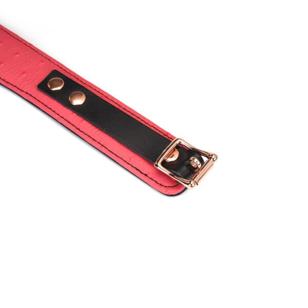 Packshot Pink Leather Collar and Leash