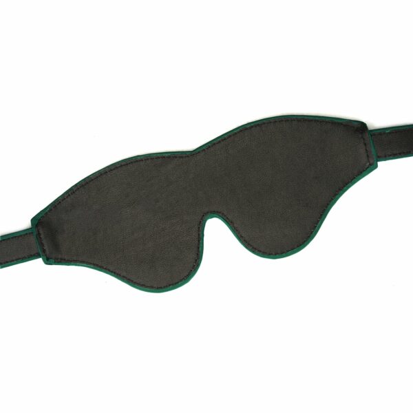 Packshot Interior Eye Band Leather Green